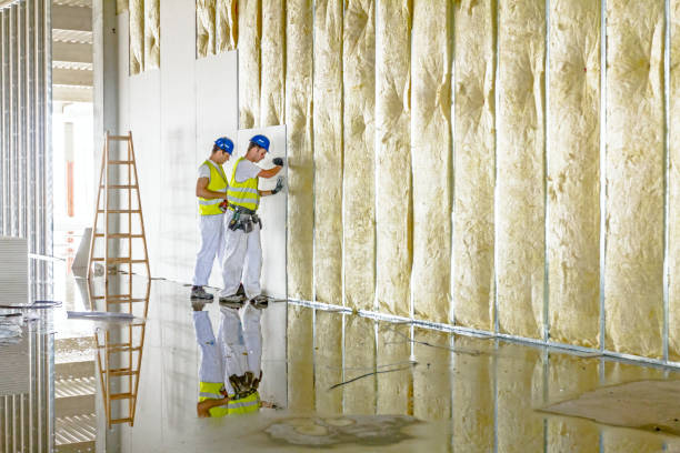 Best Attic Insulation Installation  in Lordsburg, NM